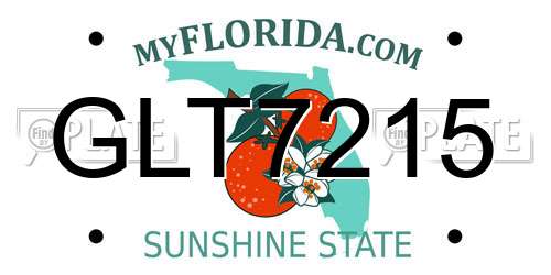 GLT7215 Florida License Plate