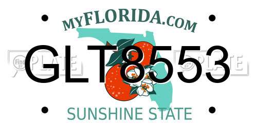 GLT8553 Florida License Plate