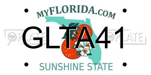 GLTA41 Florida License Plate