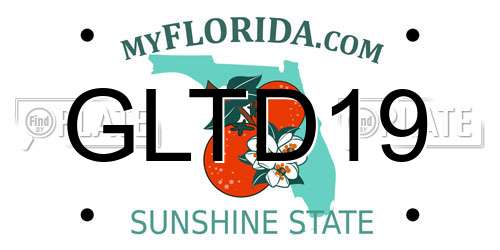 GLTD19 Florida License Plate