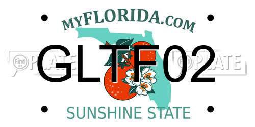GLTF02 Florida License Plate