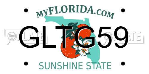 GLTG59 Florida License Plate