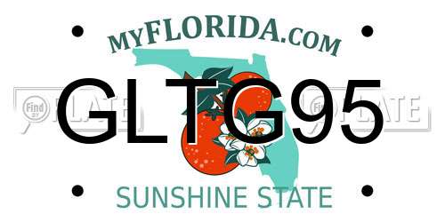 GLTG95 Florida License Plate
