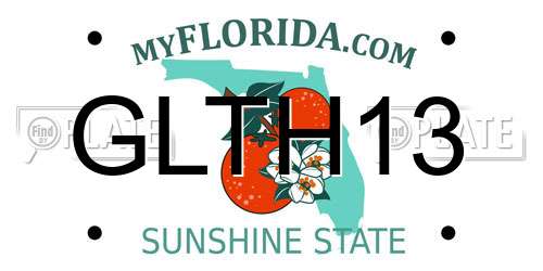 GLTH13 Florida License Plate