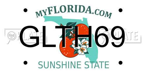 GLTH69 Florida License Plate