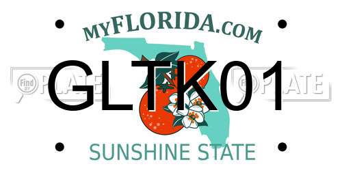 GLTK01 Florida License Plate