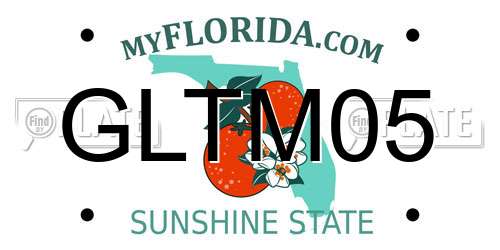 GLTM05 Florida License Plate