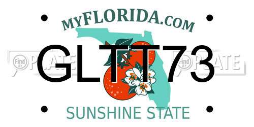 GLTT73 Florida License Plate