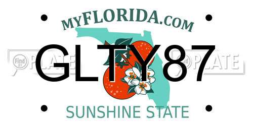 GLTY87 Florida License Plate