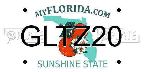 GLTZ20 Florida License Plate