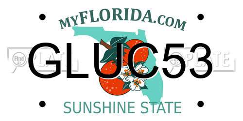 GLUC53 Florida License Plate