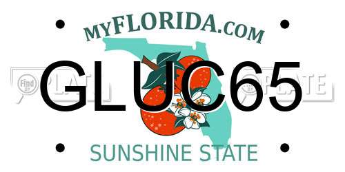 GLUC65 Florida License Plate