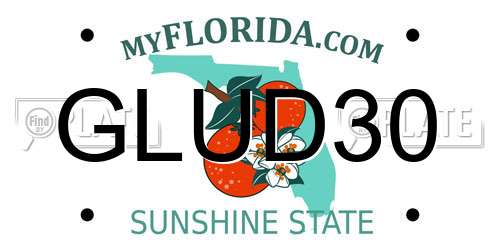 GLUD30 Florida License Plate