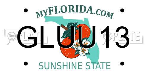 GLUU13 Florida License Plate