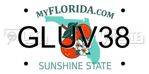 GLUV38 Florida License Plate