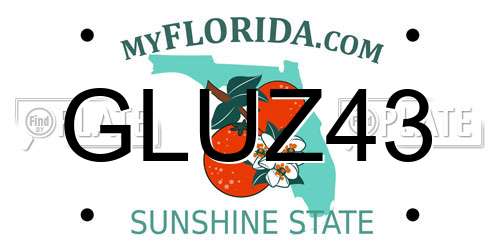 GLUZ43 Florida License Plate