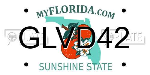 GLVD42 Florida License Plate