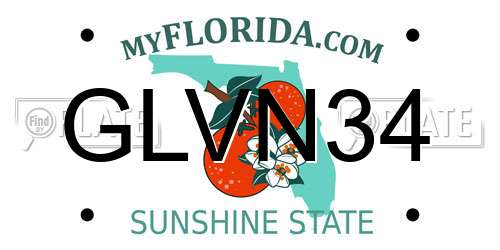 GLVN34 Florida License Plate