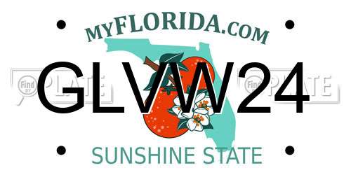 GLVW24 Florida License Plate