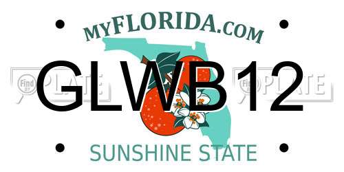 GLWB12 Florida License Plate