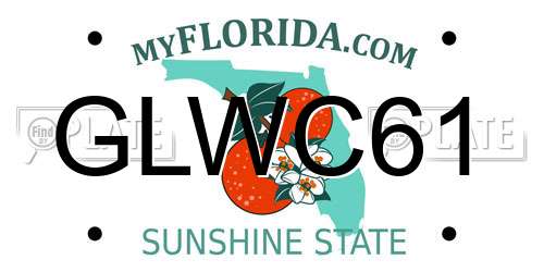 GLWC61 Florida License Plate