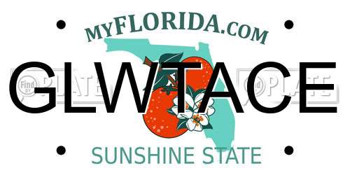 GLWTACE Florida License Plate