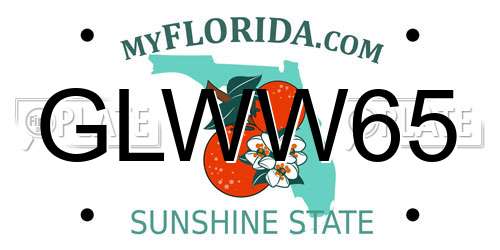 GLWW65 Florida License Plate