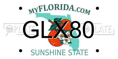 GLX80 Florida License Plate