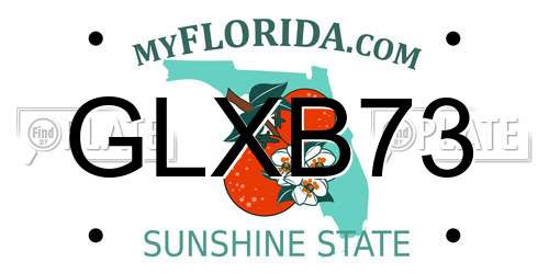 GLXB73 Florida License Plate