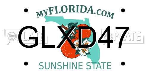 GLXD47 Florida License Plate