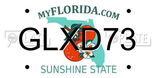 GLXD73 Florida License Plate