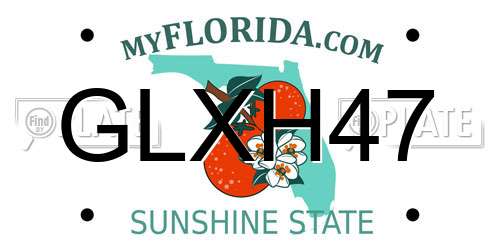GLXH47 Florida License Plate