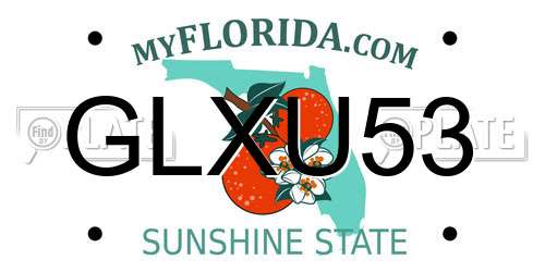 GLXU53 Florida License Plate