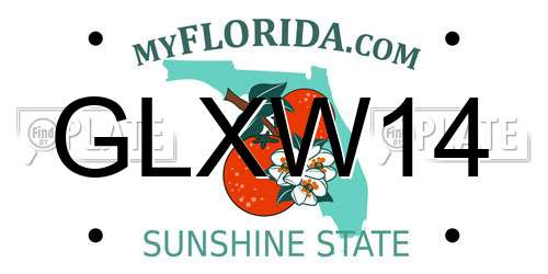 GLXW14 Florida License Plate