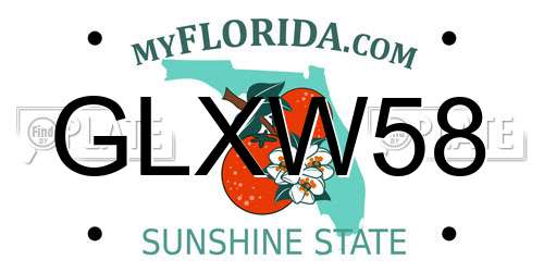 GLXW58 Florida License Plate
