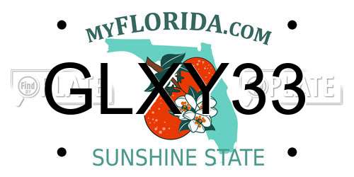 GLXY33 Florida License Plate