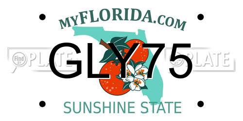 GLY75 Florida License Plate