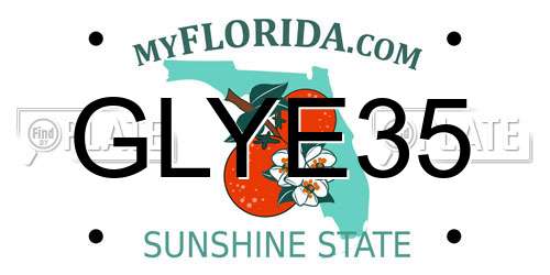 GLYE35 Florida License Plate