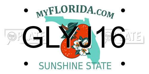 GLYJ16 Florida License Plate
