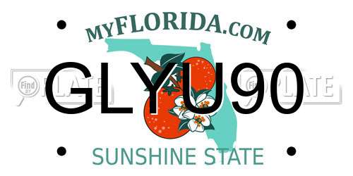 GLYU90 Florida License Plate
