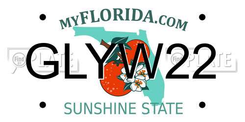GLYW22 Florida License Plate
