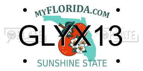 GLYX13 Florida License Plate