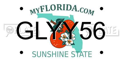 GLYY56 Florida License Plate
