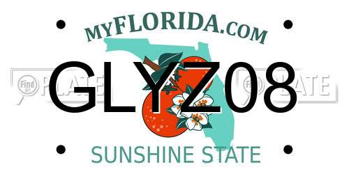 GLYZ08 Florida License Plate