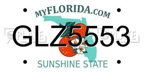 GLZ5553 Florida License Plate