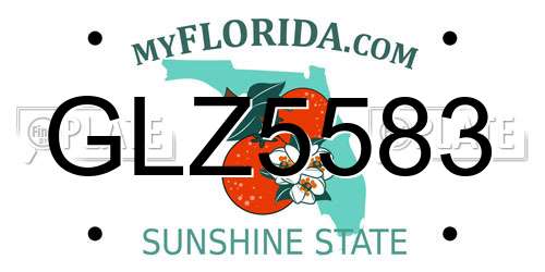 GLZ5583 Florida License Plate