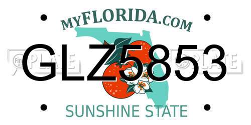 GLZ5853 Florida License Plate