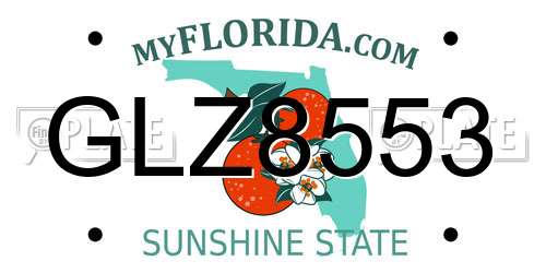 GLZ8553 Florida License Plate