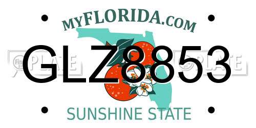 GLZ8853 Florida License Plate