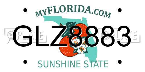 GLZ8883 Florida License Plate